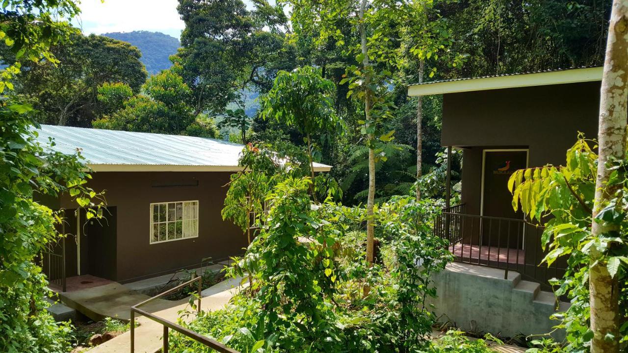 Bwindi Guest House Kanungu Dış mekan fotoğraf