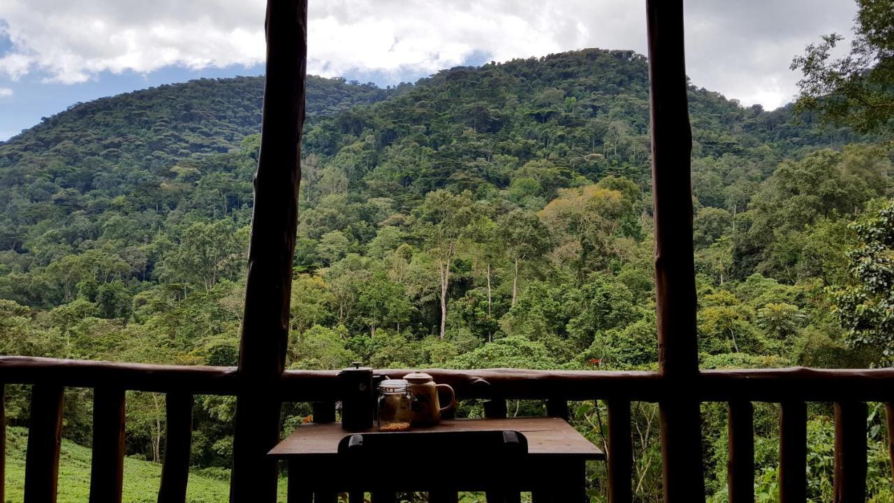 Bwindi Guest House Kanungu Dış mekan fotoğraf